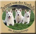 Ebbegebirge